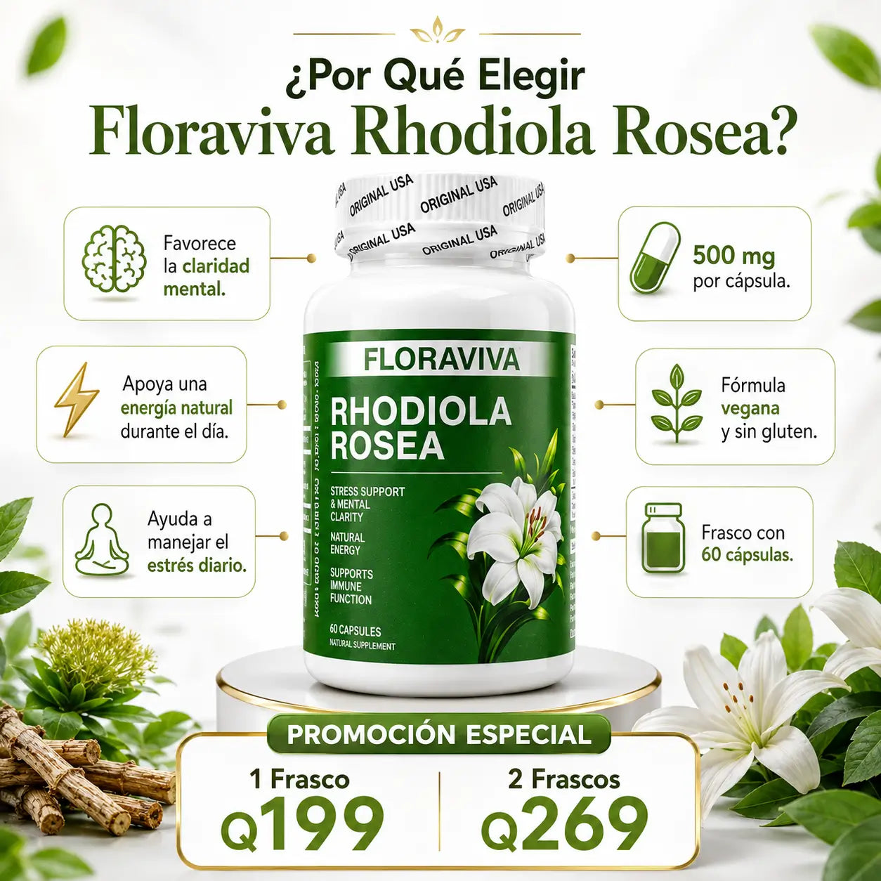 Encabezado